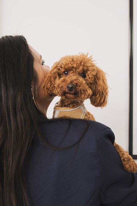 Mitarbeiterin Joy Yalavuz trägt Hund Kiba auf dem Arm